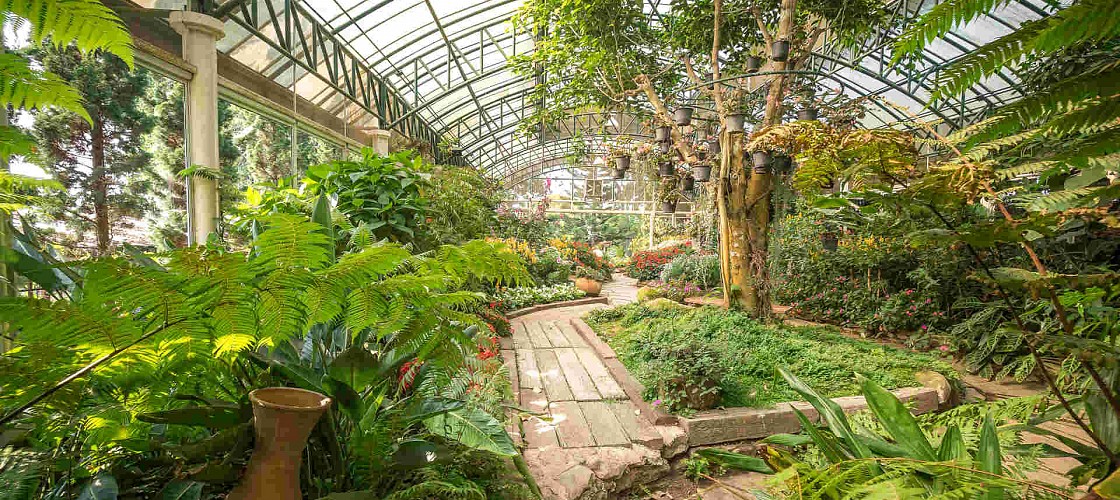 The greenhouse at Bhubing Rajanives Palace in Chiang Mai, Thailand