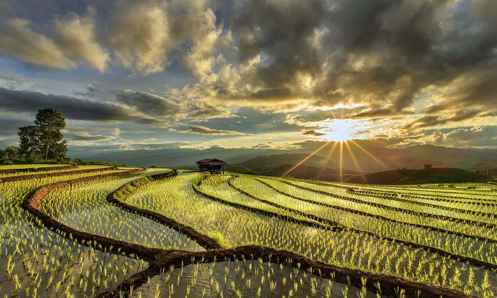 The Mae Sa Valley is one of the hidden gems of Chiang Mai